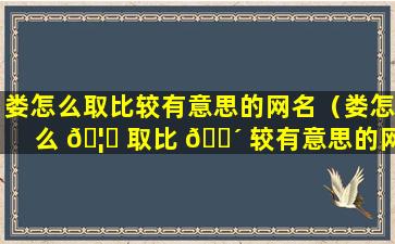 娄怎么取比较有意思的网名（娄怎么 🦁 取比 🐴 较有意思的网名男生）